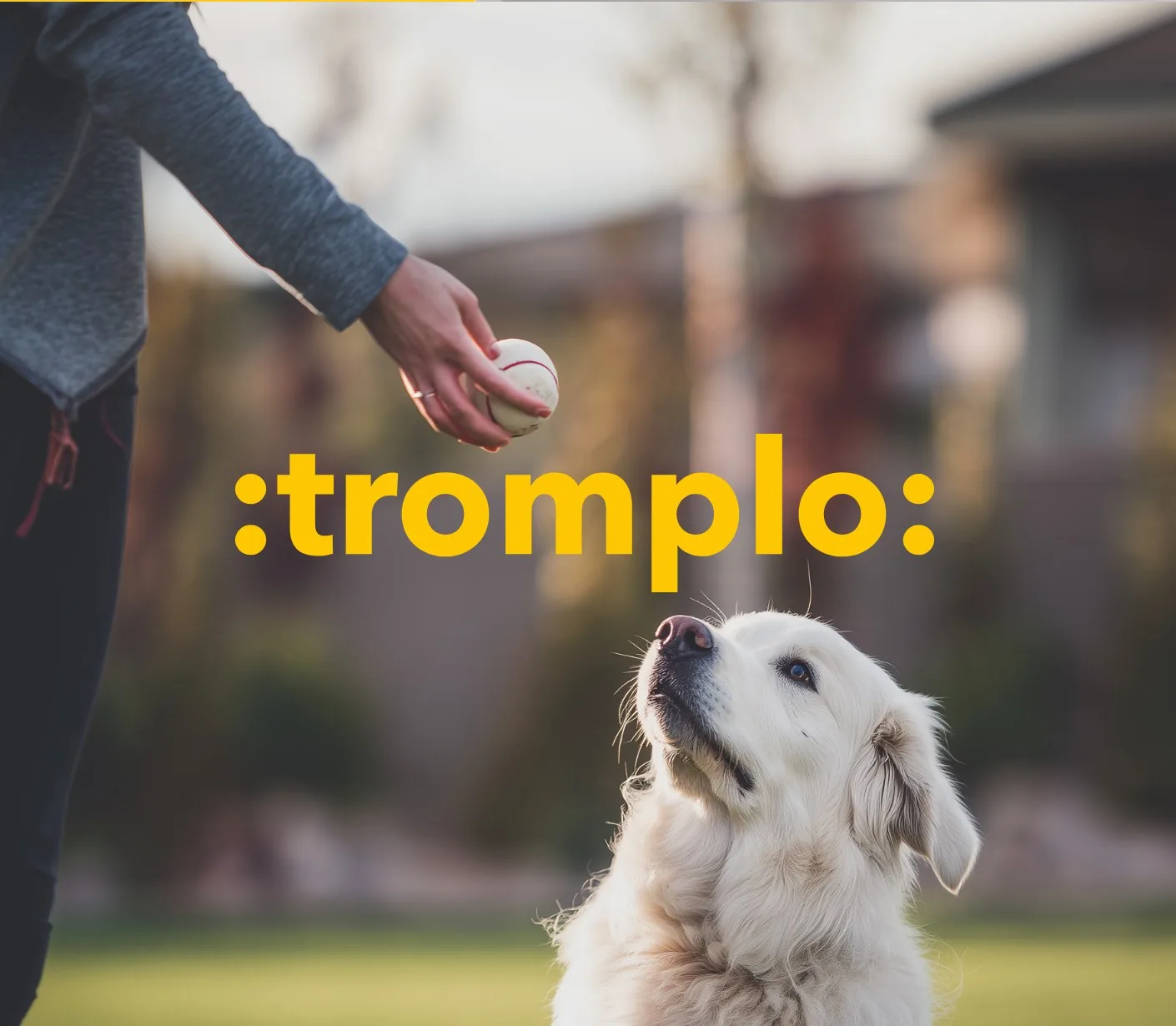 Tromplo - logo na tle psa czekającego na rzut piłki