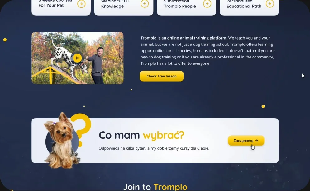 Tromplo - sekcja z darmową lekcją i quizem doboru kursów